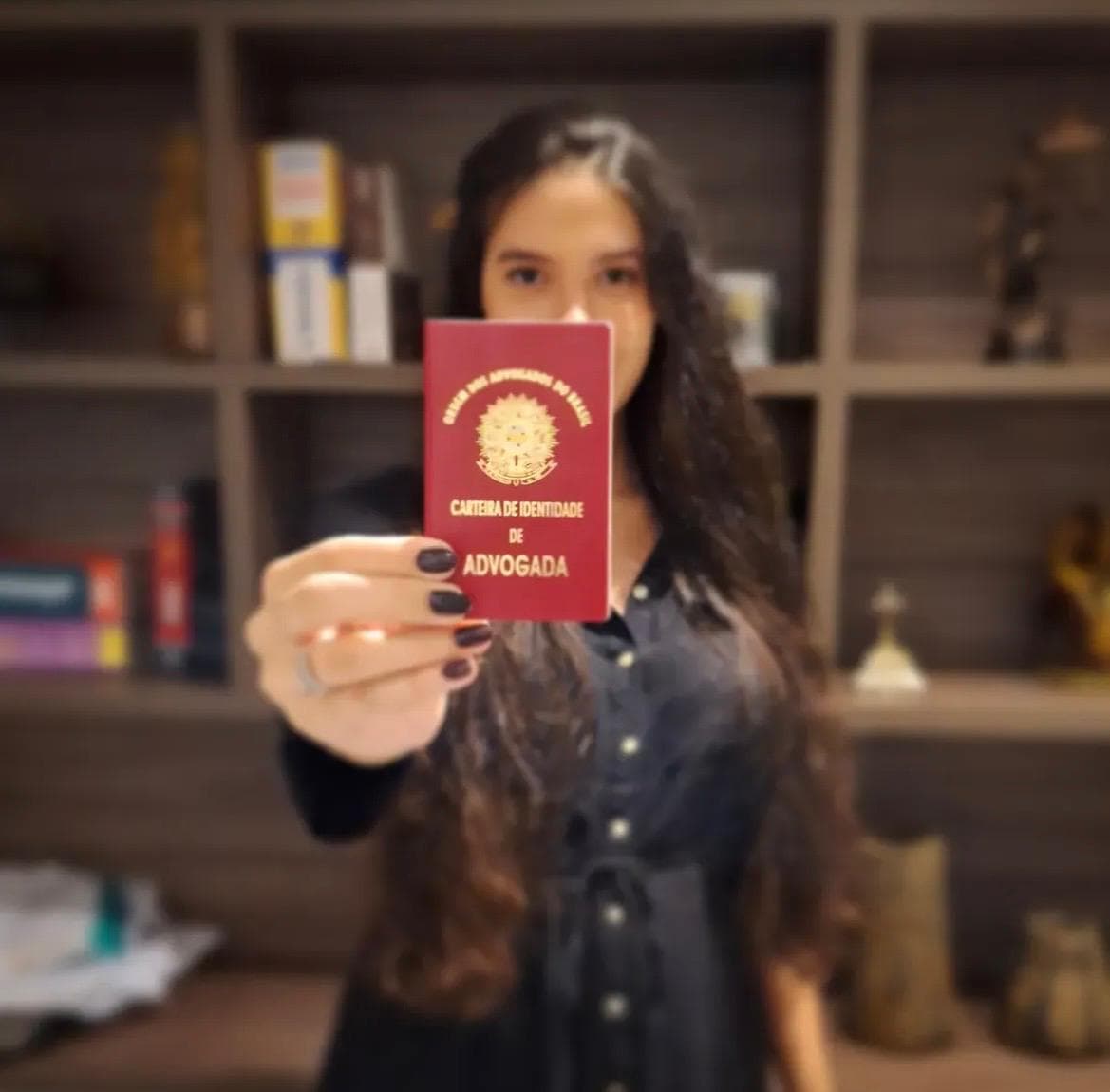 Documento profissional de Larissa Guimarães